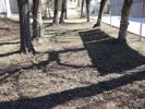 Image 01