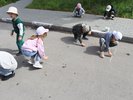 Image 08